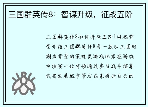 三国群英传8：智谋升级，征战五阶